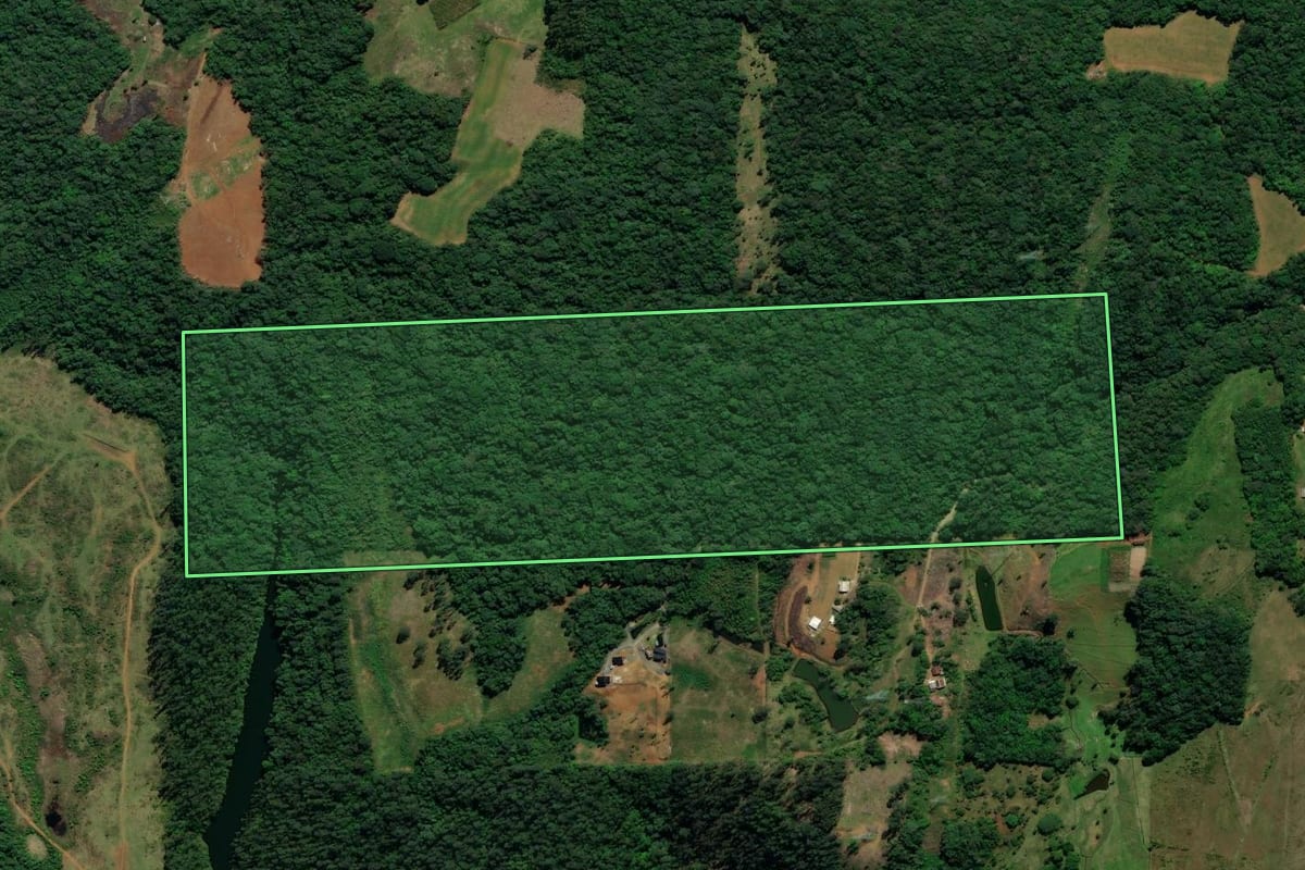 Imagem de satélite do imóvel rural em Nova Veneza (SC), com o contorno declarado no CAR desenhado por cima.
