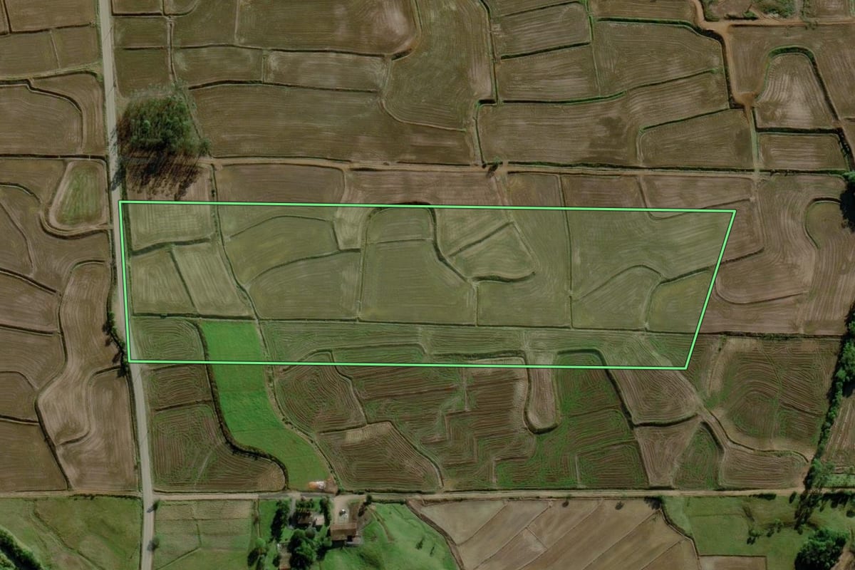 Imagem de satélite do imóvel rural em Nova Veneza (SC), com o contorno declarado no CAR desenhado por cima.