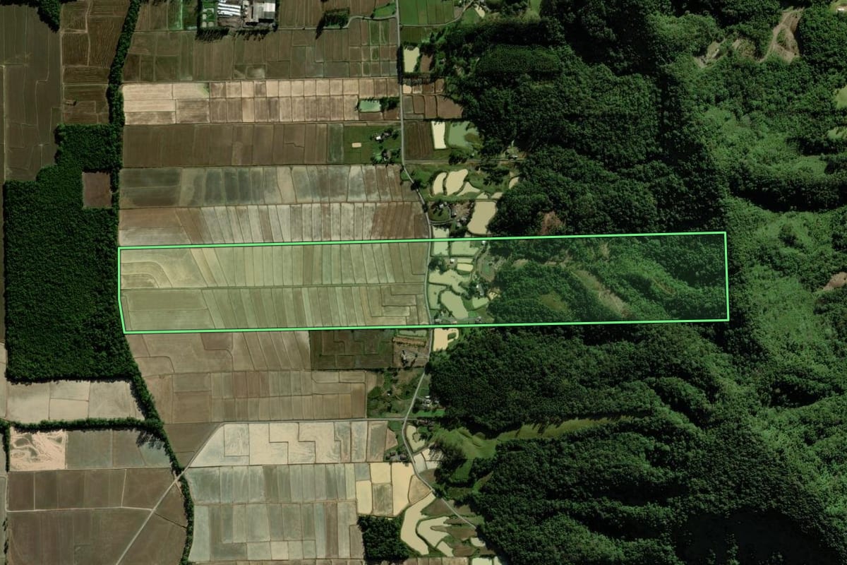 Imagem de satélite do imóvel rural em Nova Veneza (SC), com o contorno declarado no CAR desenhado por cima.