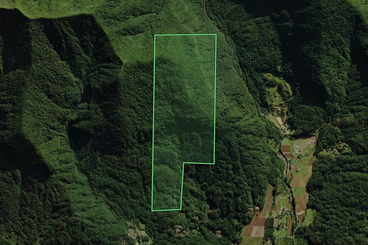 Imagem de satélite do imóvel rural em Nova Veneza (SC), com o contorno declarado no CAR desenhado por cima.