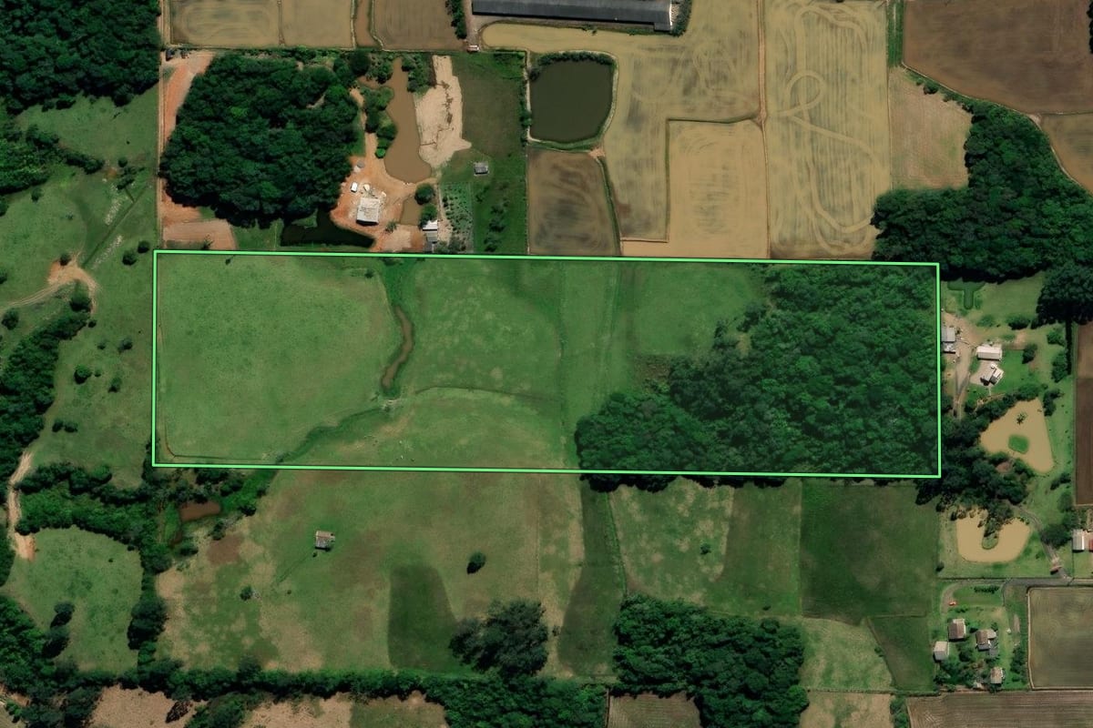 Imagem de satélite do imóvel rural em Nova Veneza (SC), com o contorno declarado no CAR desenhado por cima.