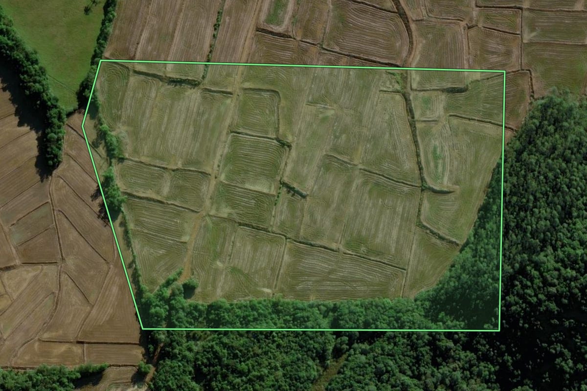 Imagem de satélite do imóvel rural em Nova Veneza (SC), com o contorno declarado no CAR desenhado por cima.
