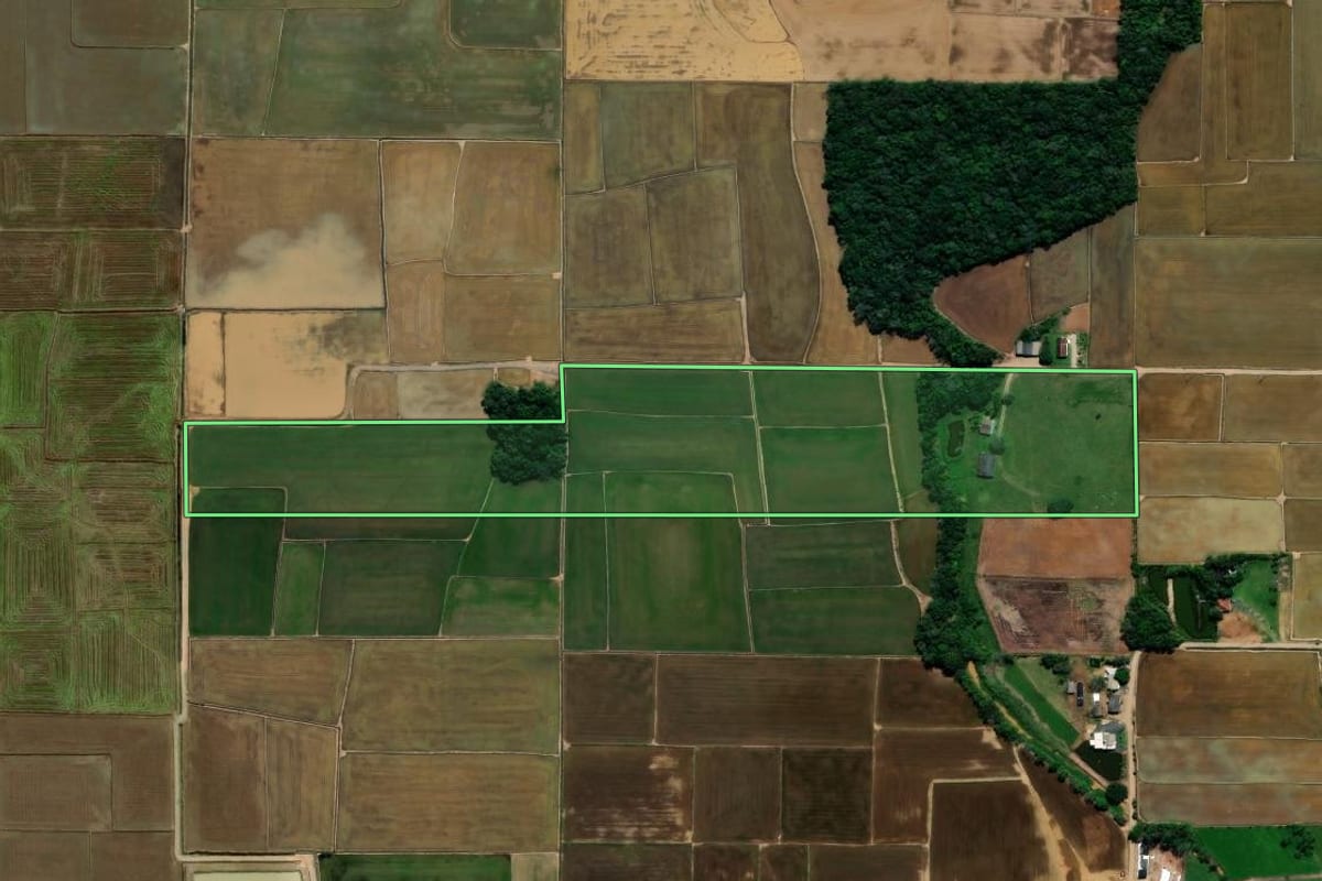 Imagem de satélite do imóvel rural em Nova Veneza (SC), com o contorno declarado no CAR desenhado por cima.
