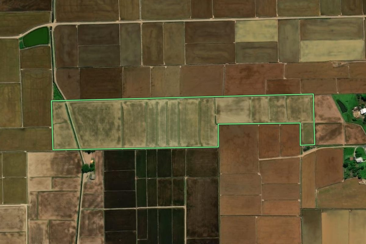 Imagem de satélite do imóvel rural em Nova Veneza (SC), com o contorno declarado no CAR desenhado por cima.