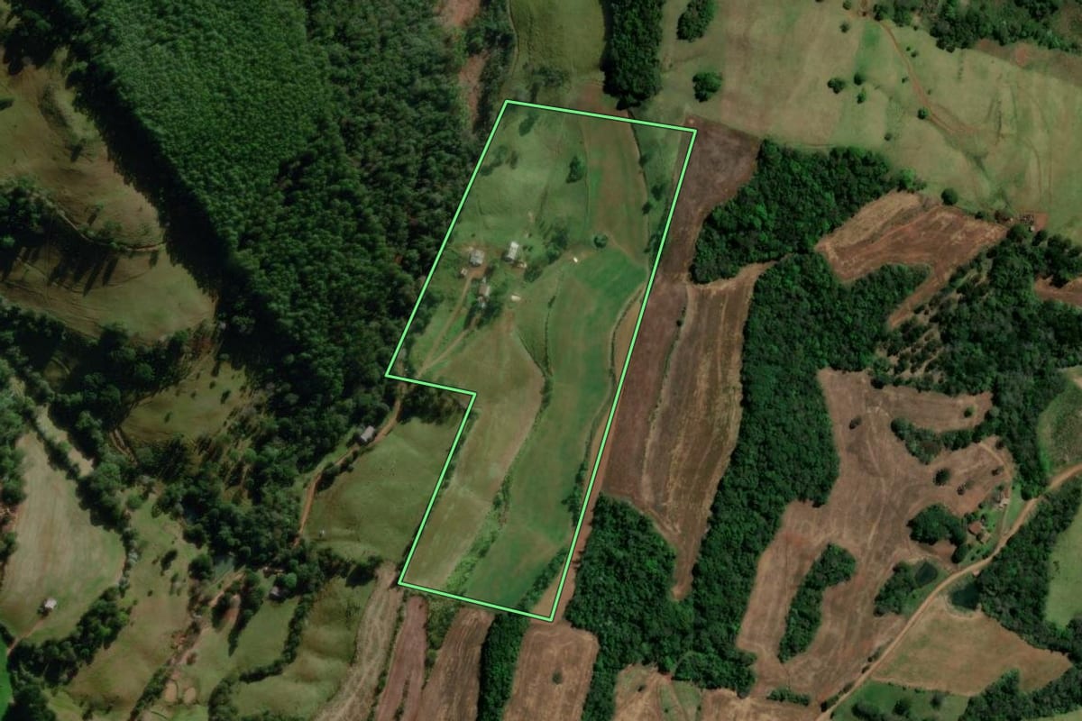Imagem de satélite do imóvel rural em Novo Horizonte (SC), com o contorno declarado no CAR desenhado por cima.