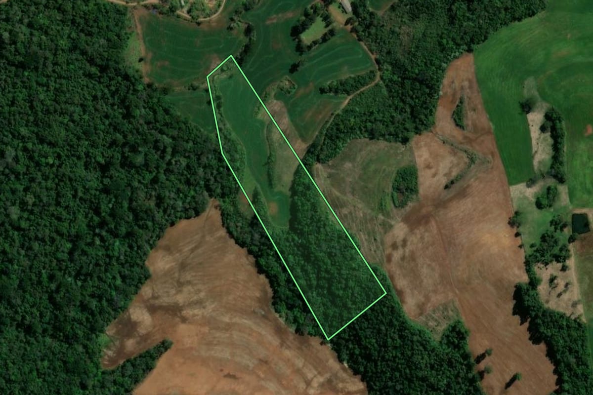 Imagem de satélite do imóvel rural em Novo Horizonte (SC), com o contorno declarado no CAR desenhado por cima.
