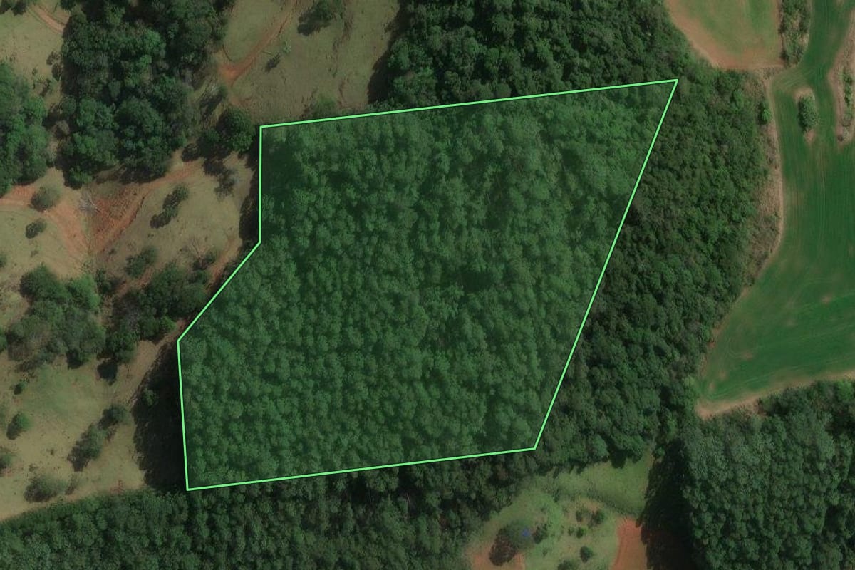Imagem de satélite do imóvel rural em Novo Horizonte (SC), com o contorno declarado no CAR desenhado por cima.