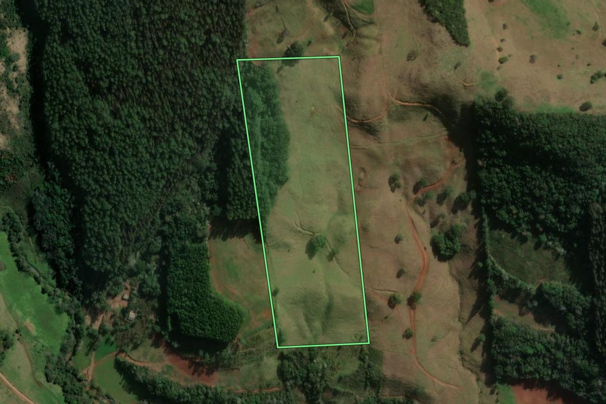 Imagem de satélite do imóvel rural em Novo Horizonte (SC), com o contorno declarado no CAR desenhado por cima.