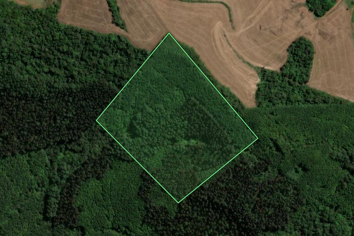 Imagem de satélite do imóvel rural em Novo Horizonte (SC), com o contorno declarado no CAR desenhado por cima.