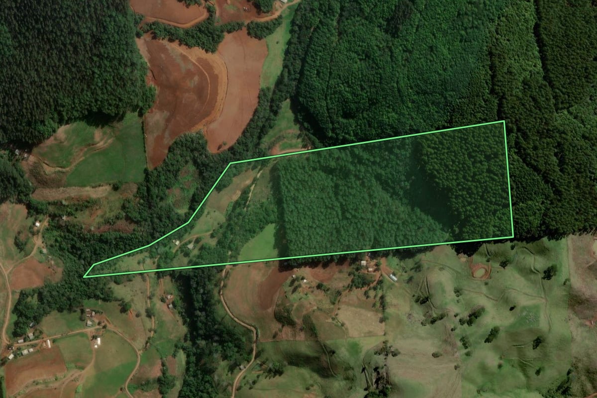 Imagem de satélite do imóvel rural em Novo Horizonte (SC), com o contorno declarado no CAR desenhado por cima.