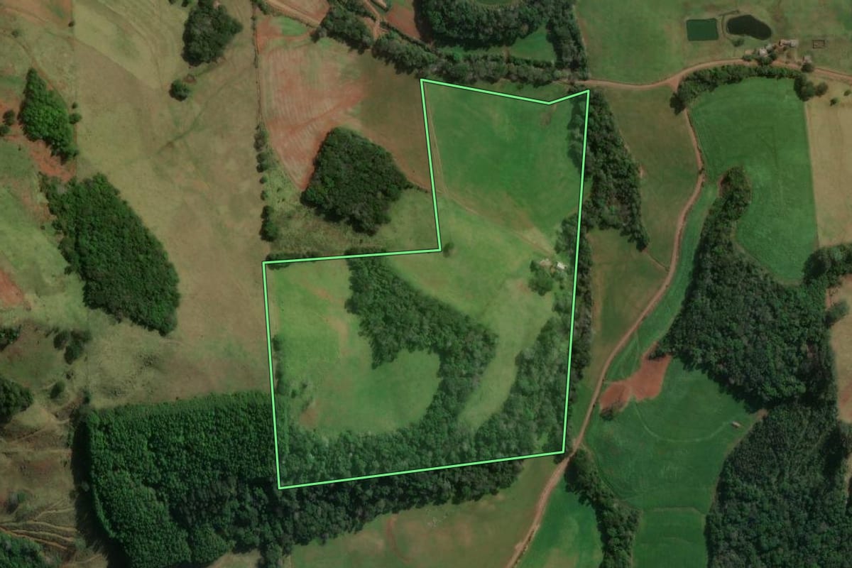 Imagem de satélite do imóvel rural em Novo Horizonte (SC), com o contorno declarado no CAR desenhado por cima.