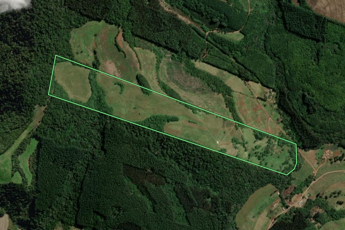 Imagem de satélite do imóvel rural em Novo Horizonte (SC), com o contorno declarado no CAR desenhado por cima.