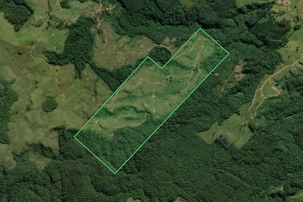Imagem de satélite do imóvel rural em Orleans (SC), com o contorno declarado no CAR desenhado por cima.