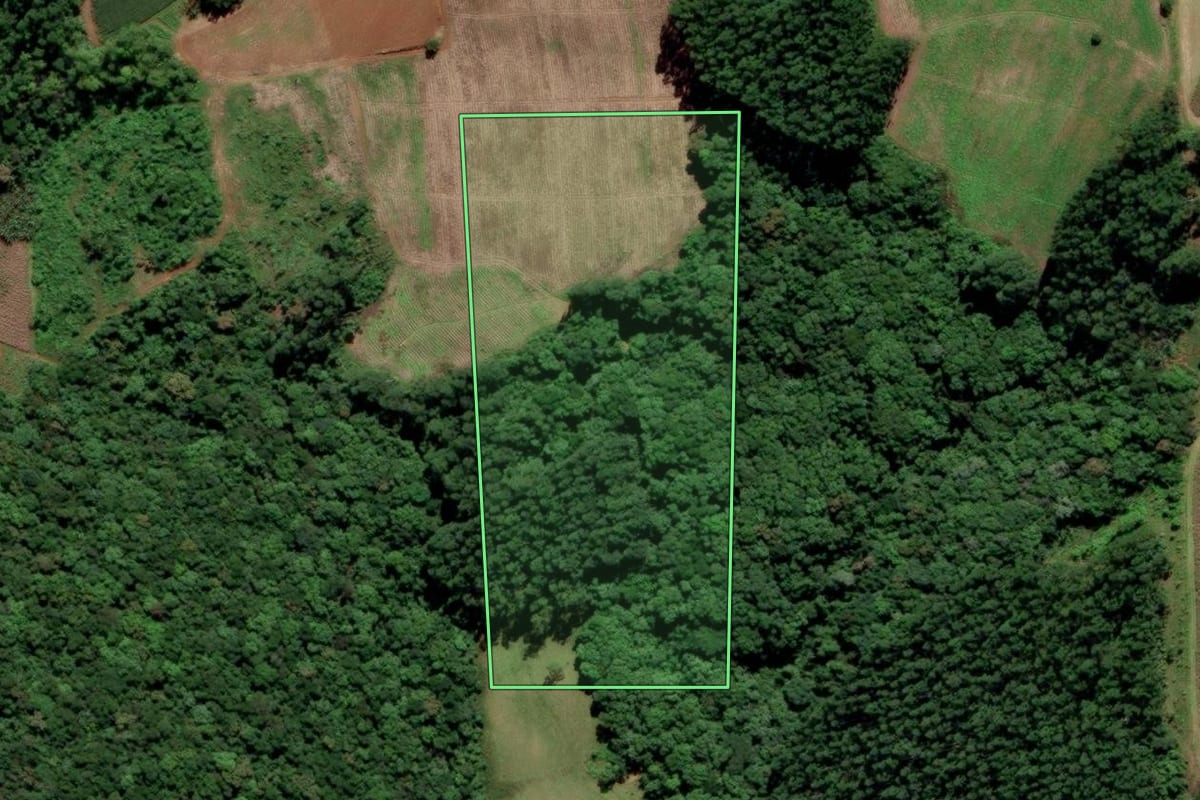 Imagem de satélite do imóvel rural em Orleans (SC), com o contorno declarado no CAR desenhado por cima.
