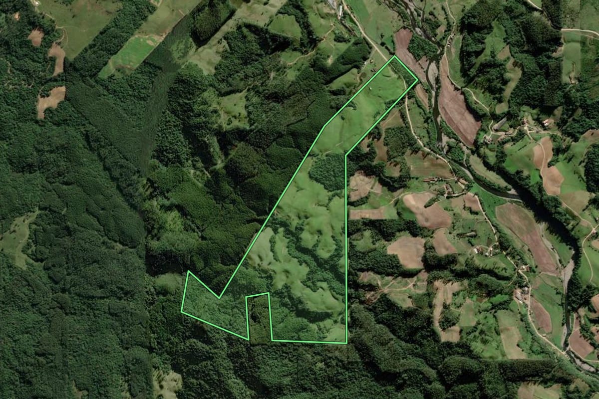 Imagem de satélite do imóvel rural em Orleans (SC), com o contorno declarado no CAR desenhado por cima.