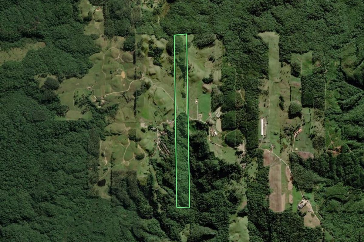 Imagem de satélite do imóvel rural em Orleans (SC), com o contorno declarado no CAR desenhado por cima.