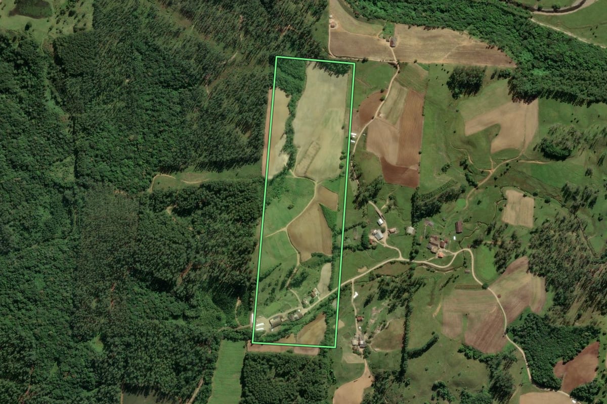 Imagem de satélite do imóvel rural em Orleans (SC), com o contorno declarado no CAR desenhado por cima.