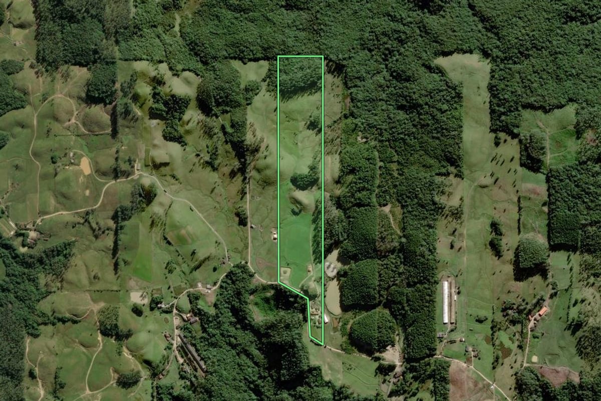 Imagem de satélite do imóvel rural em Orleans (SC), com o contorno declarado no CAR desenhado por cima.