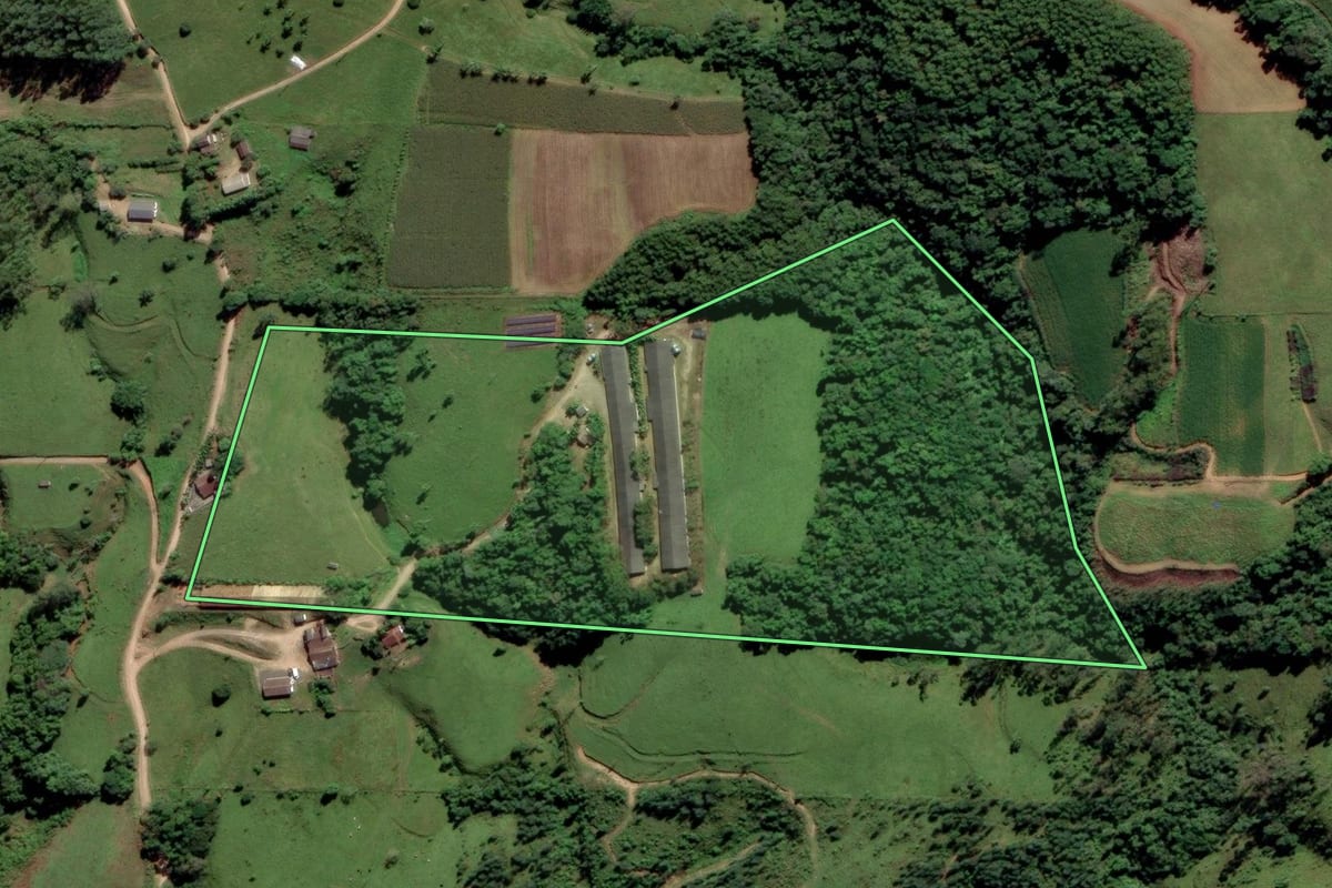 Imagem de satélite do imóvel rural em Orleans (SC), com o contorno declarado no CAR desenhado por cima.