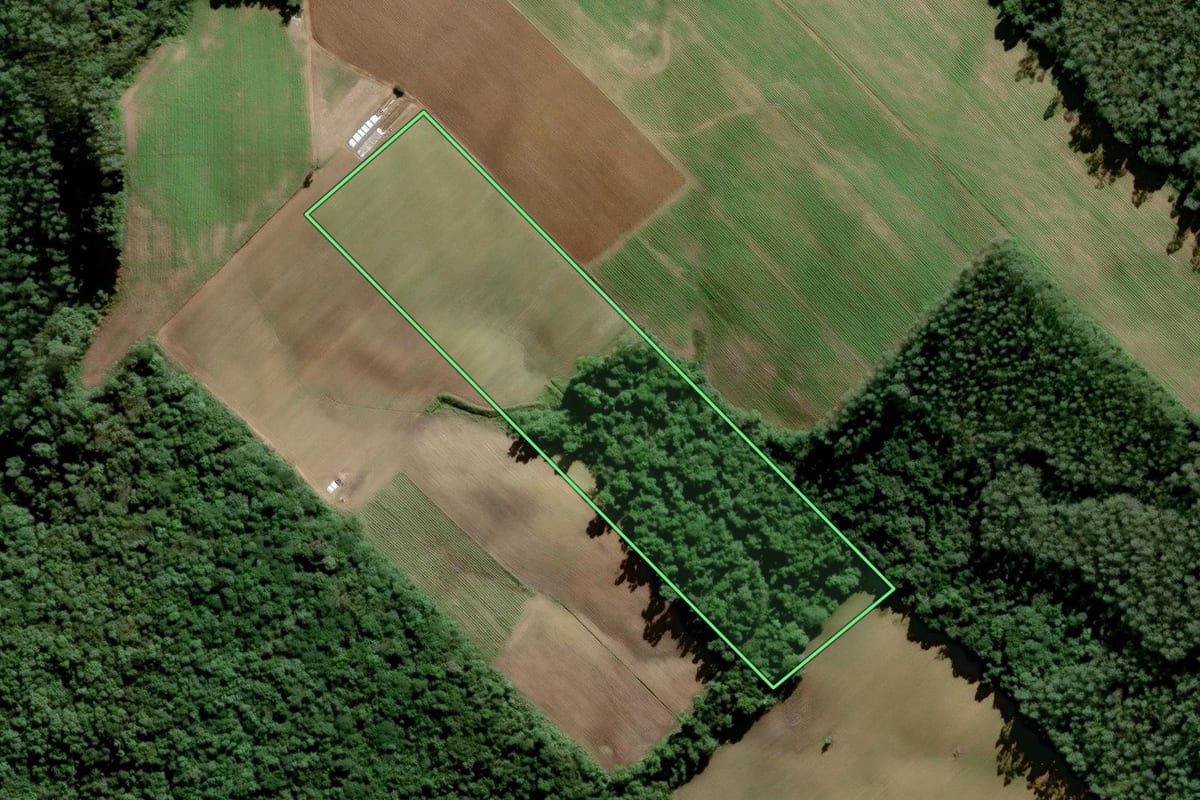 Imagem de satélite do imóvel rural em Orleans (SC), com o contorno declarado no CAR desenhado por cima.