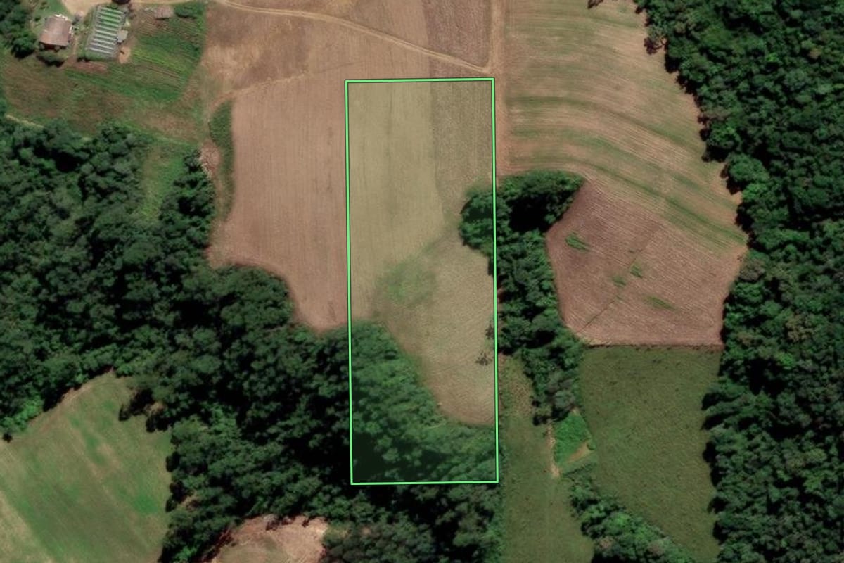 Imagem de satélite do imóvel rural em Orleans (SC), com o contorno declarado no CAR desenhado por cima.