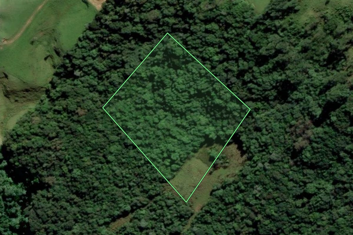Imagem de satélite do imóvel rural em Orleans (SC), com o contorno declarado no CAR desenhado por cima.
