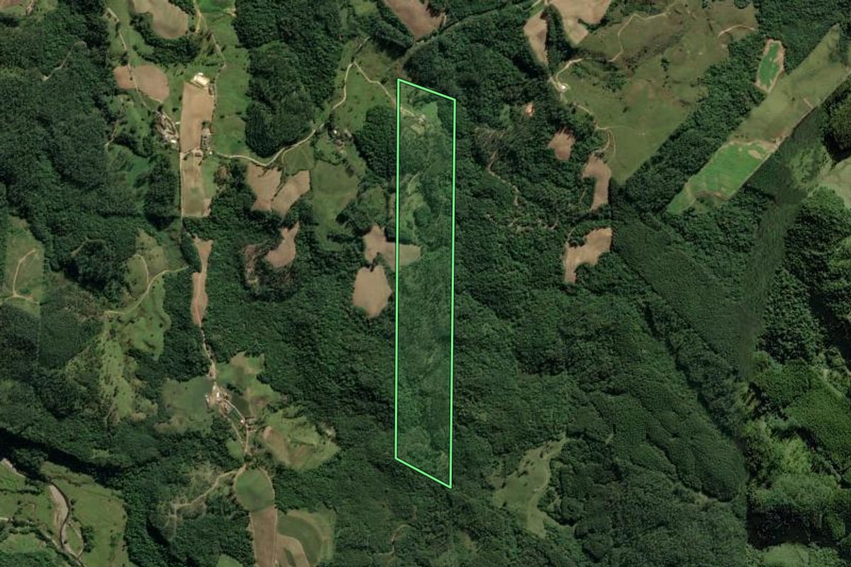 Imagem de satélite do imóvel rural em Orleans (SC), com o contorno declarado no CAR desenhado por cima.