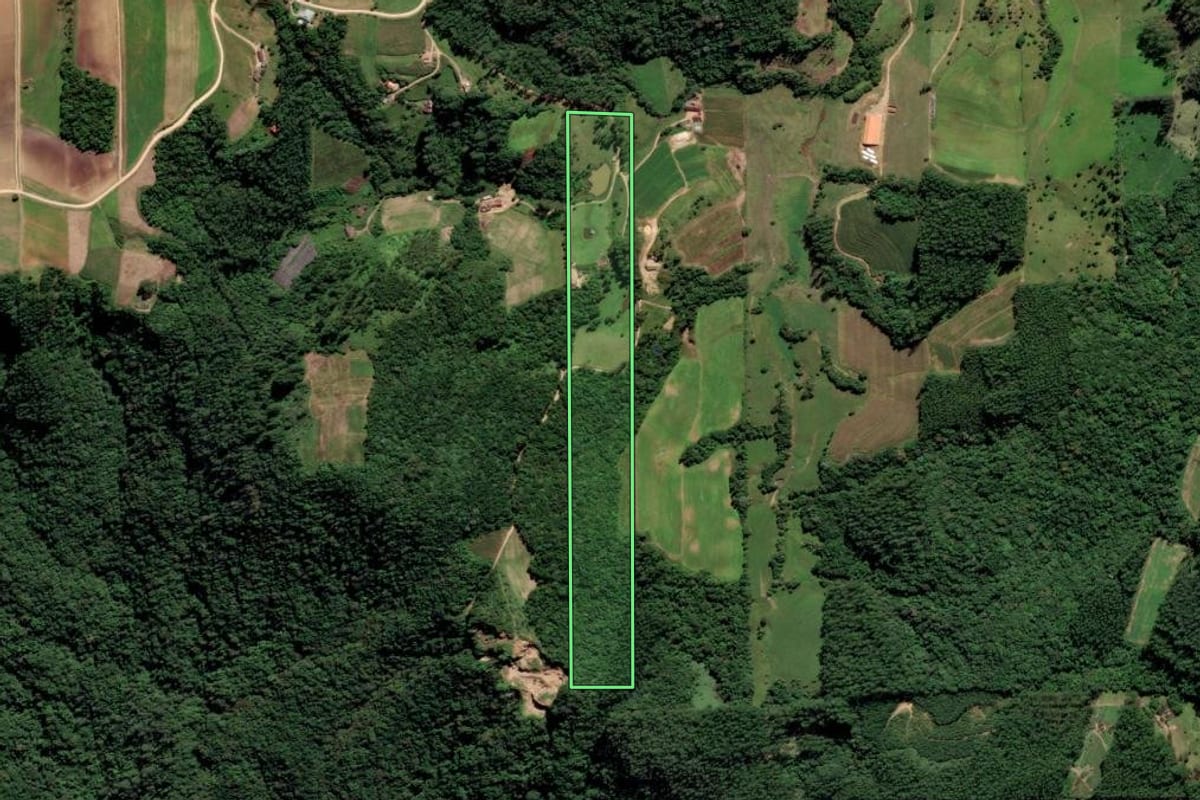 Imagem de satélite do imóvel rural em Orleans (SC), com o contorno declarado no CAR desenhado por cima.