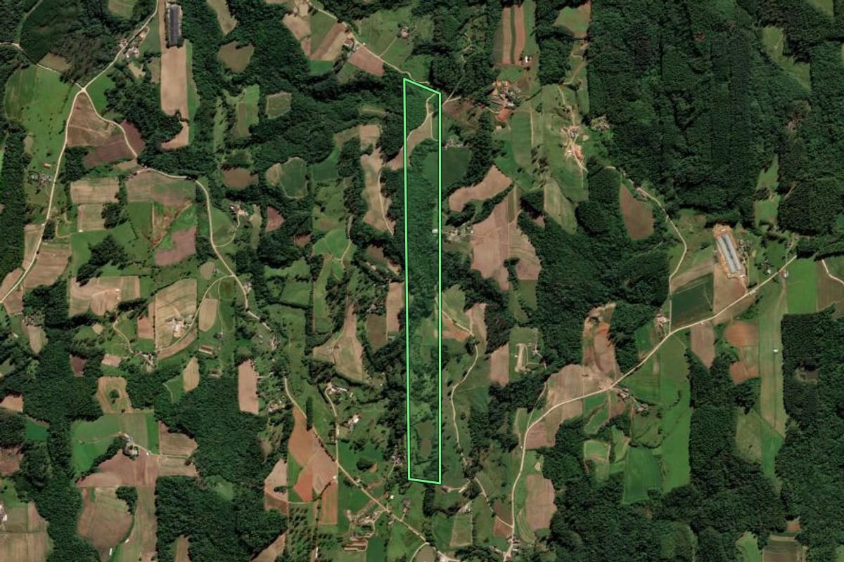 Imagem de satélite do imóvel rural em Orleans (SC), com o contorno declarado no CAR desenhado por cima.