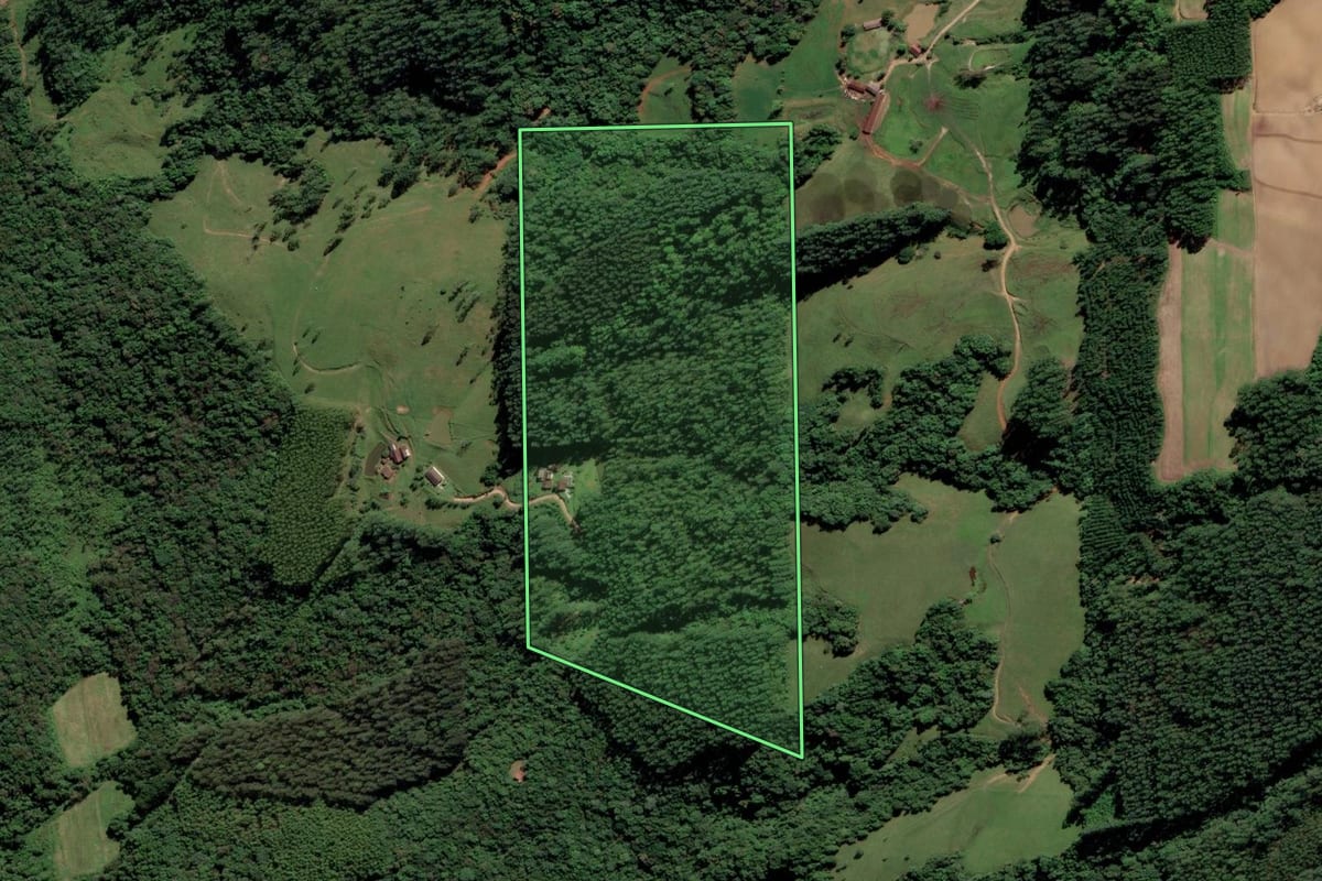 Imagem de satélite do imóvel rural em Orleans (SC), com o contorno declarado no CAR desenhado por cima.