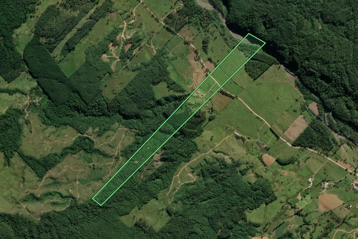 Imagem de satélite do imóvel rural em Orleans (SC), com o contorno declarado no CAR desenhado por cima.
