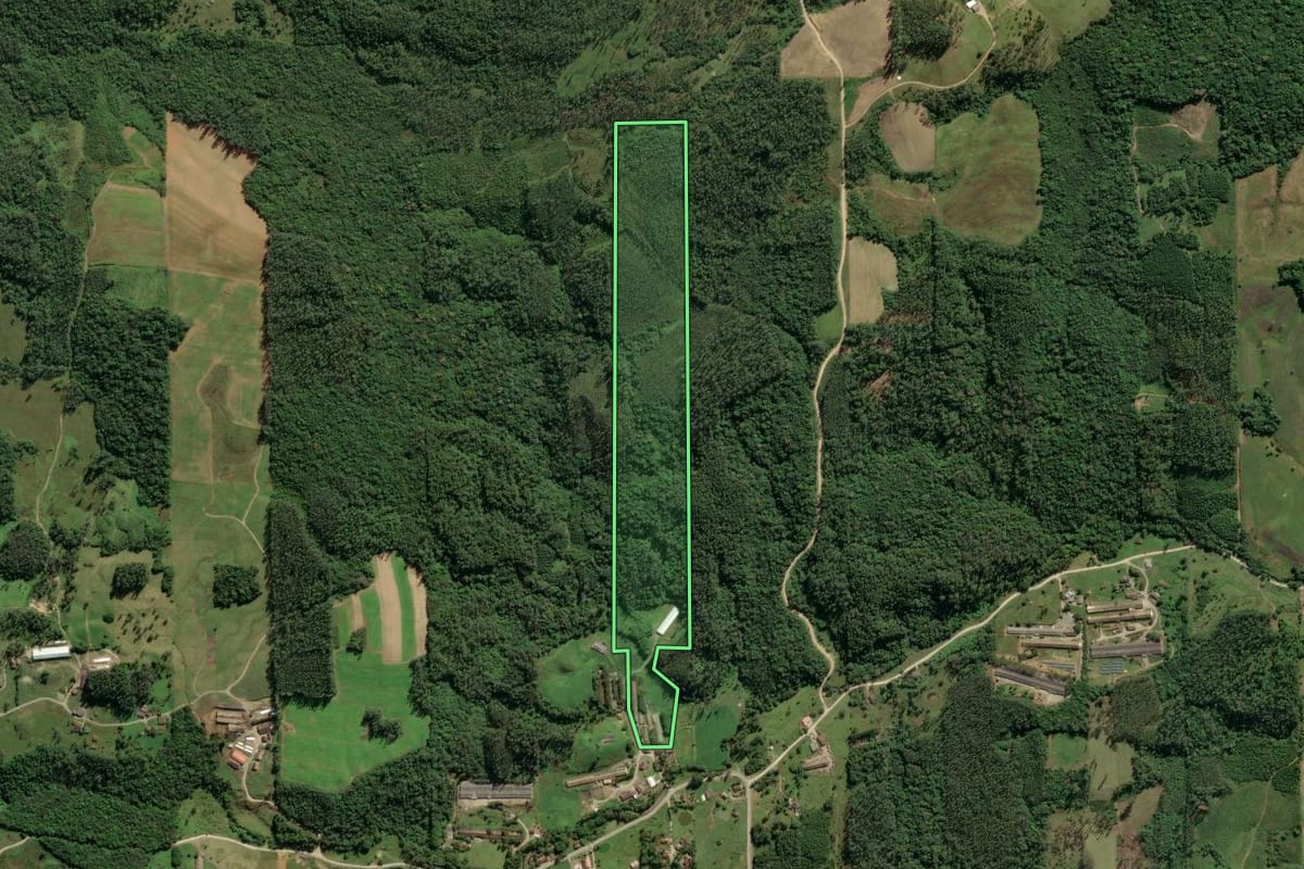 Imagem de satélite do imóvel rural em Orleans (SC), com o contorno declarado no CAR desenhado por cima.