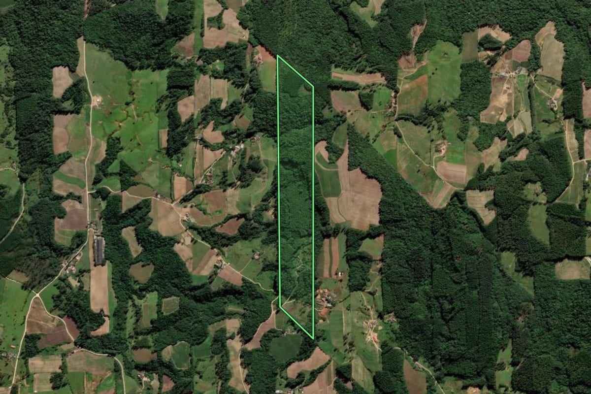 Imagem de satélite do imóvel rural em Orleans (SC), com o contorno declarado no CAR desenhado por cima.
