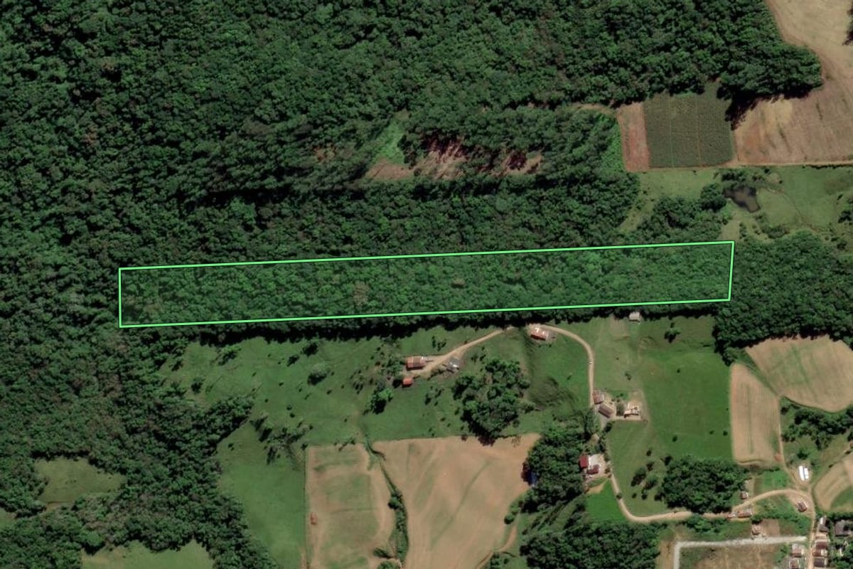 Imagem de satélite do imóvel rural em Orleans (SC), com o contorno declarado no CAR desenhado por cima.