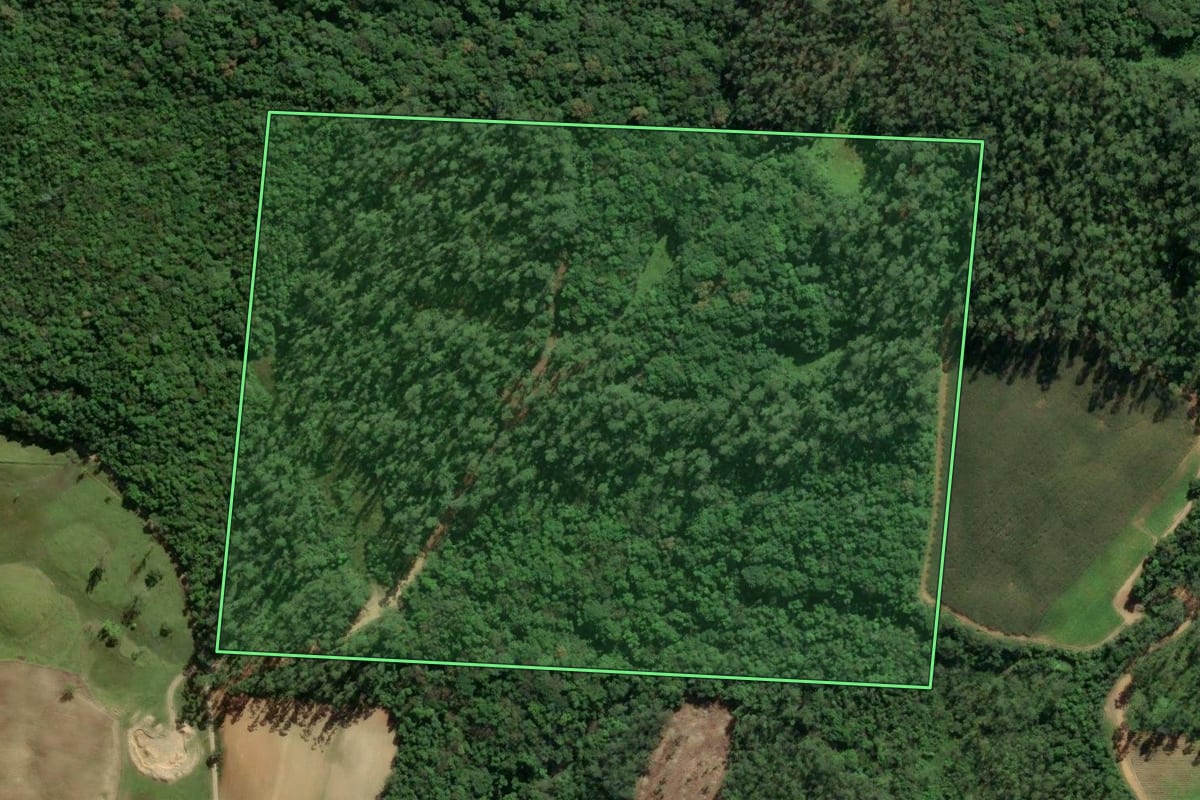 Imagem de satélite do imóvel rural em Orleans (SC), com o contorno declarado no CAR desenhado por cima.
