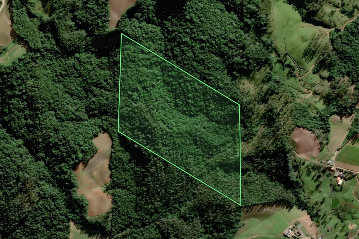 Imagem de satélite do imóvel rural em Orleans (SC), com o contorno declarado no CAR desenhado por cima.