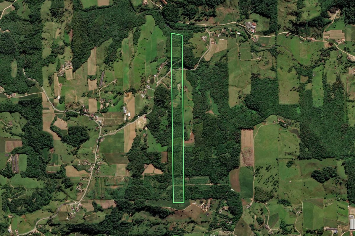 Imagem de satélite do imóvel rural em Orleans (SC), com o contorno declarado no CAR desenhado por cima.
