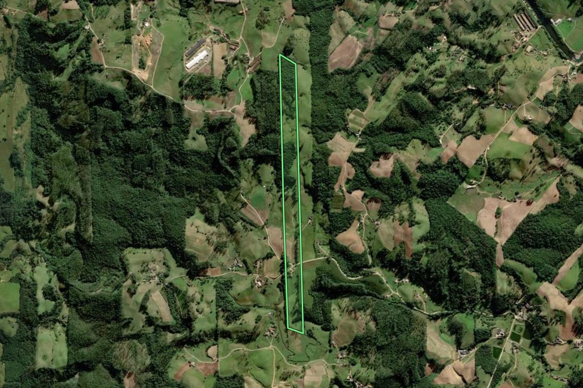Imagem de satélite do imóvel rural em Orleans (SC), com o contorno declarado no CAR desenhado por cima.