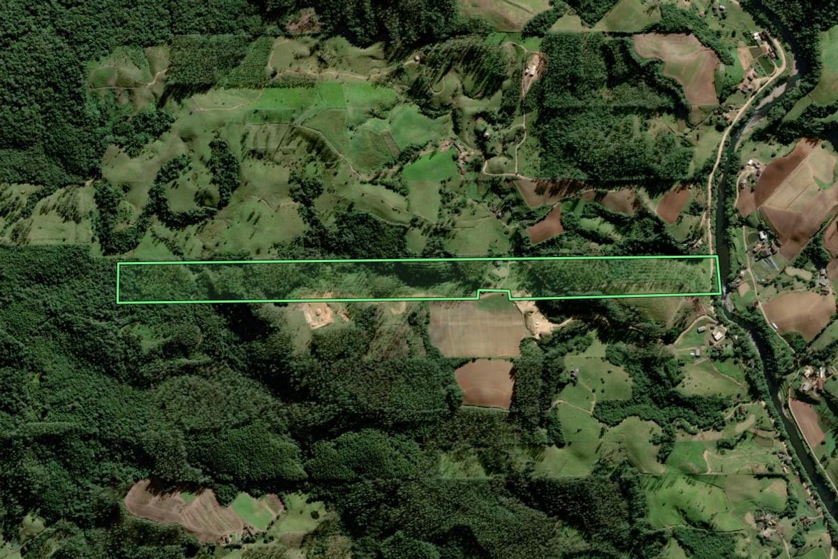 Imagem de satélite do imóvel rural em Orleans (SC), com o contorno declarado no CAR desenhado por cima.