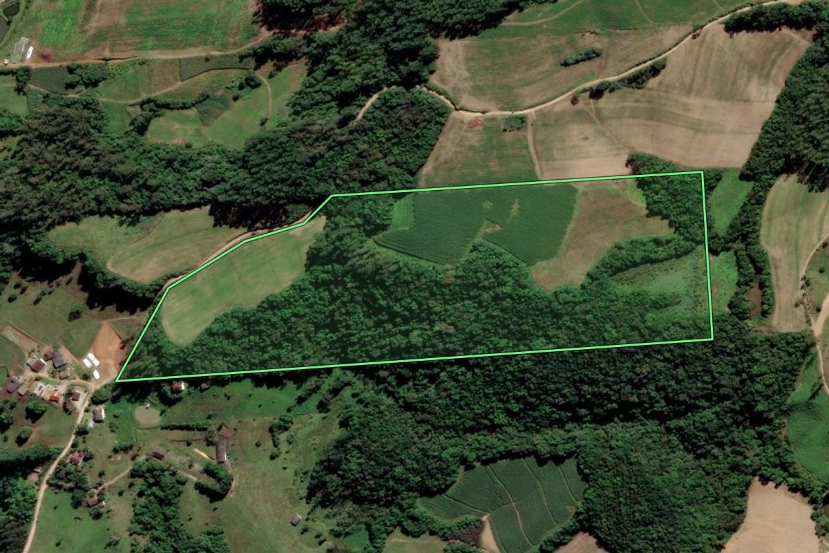 Imagem de satélite do imóvel rural em Orleans (SC), com o contorno declarado no CAR desenhado por cima.