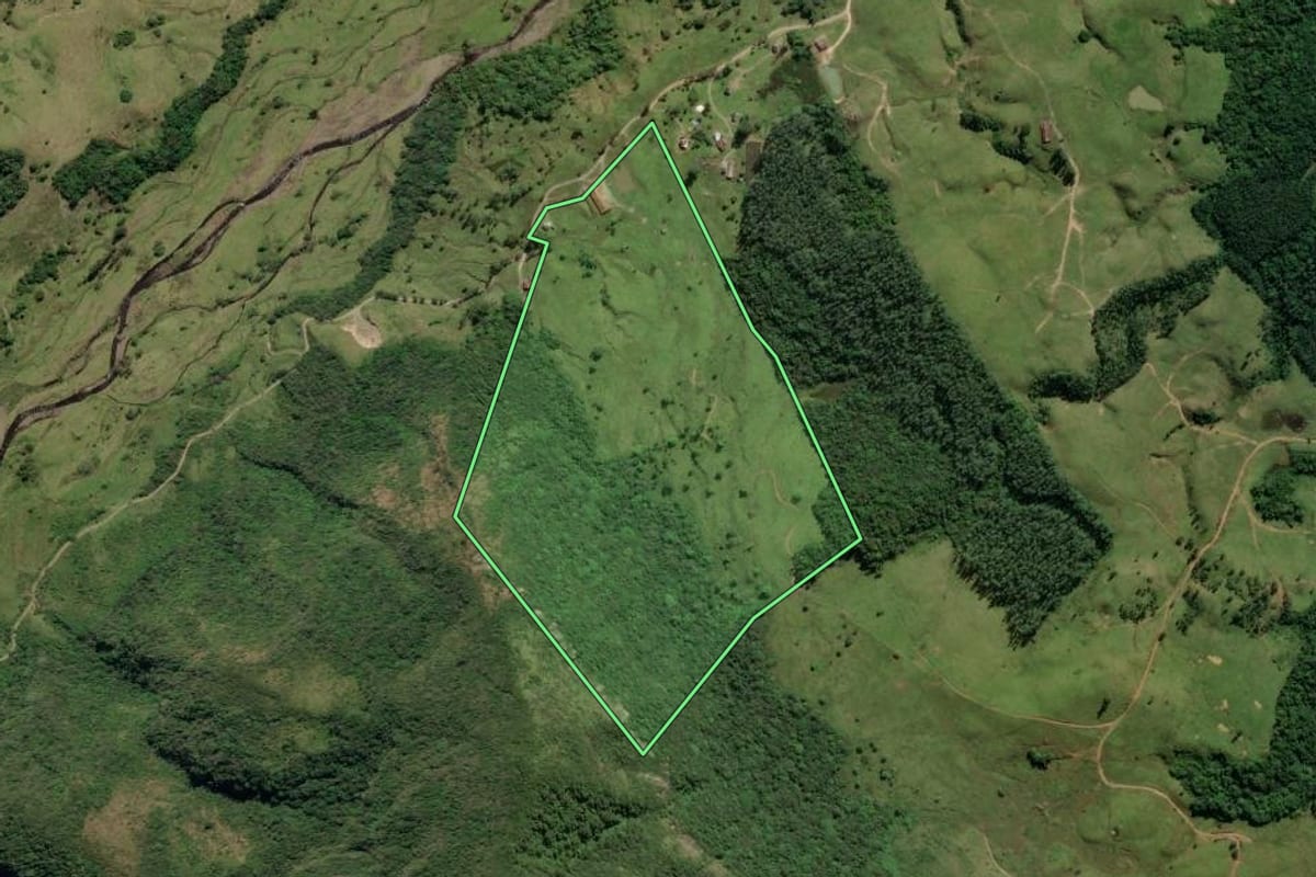 Imagem de satélite do imóvel rural em Orleans (SC), com o contorno declarado no CAR desenhado por cima.