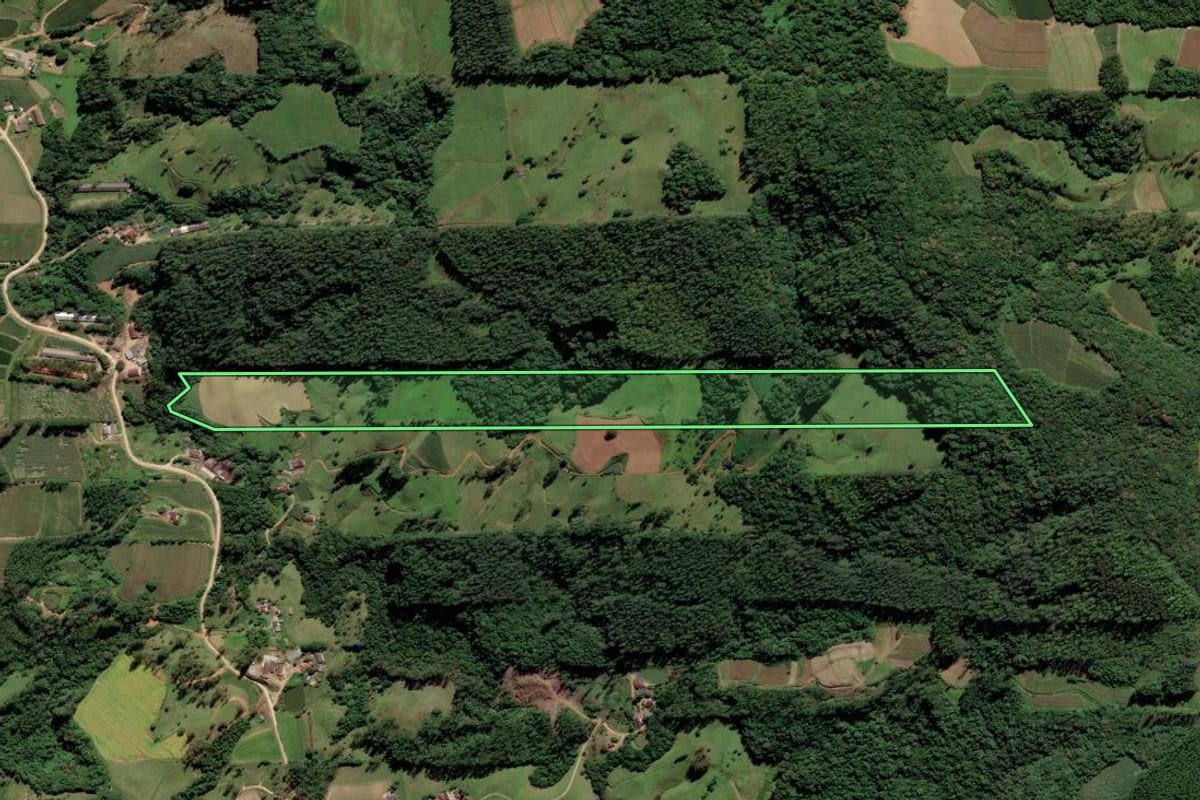 Imagem de satélite do imóvel rural em Orleans (SC), com o contorno declarado no CAR desenhado por cima.
