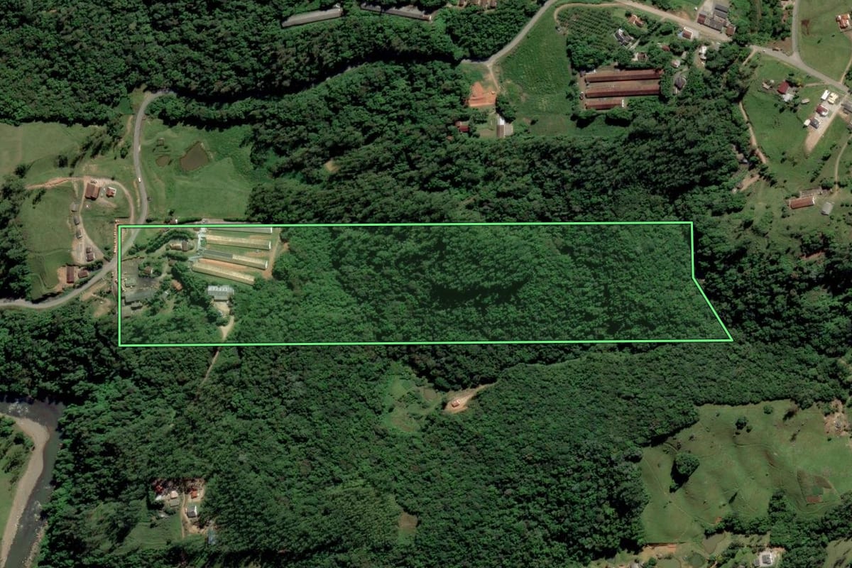 Imagem de satélite do imóvel rural em Orleans (SC), com o contorno declarado no CAR desenhado por cima.