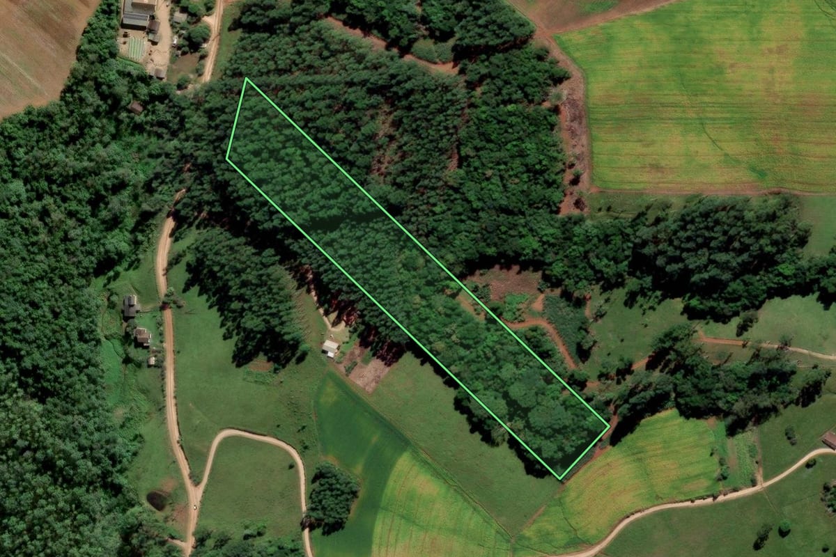Imagem de satélite do imóvel rural em Orleans (SC), com o contorno declarado no CAR desenhado por cima.