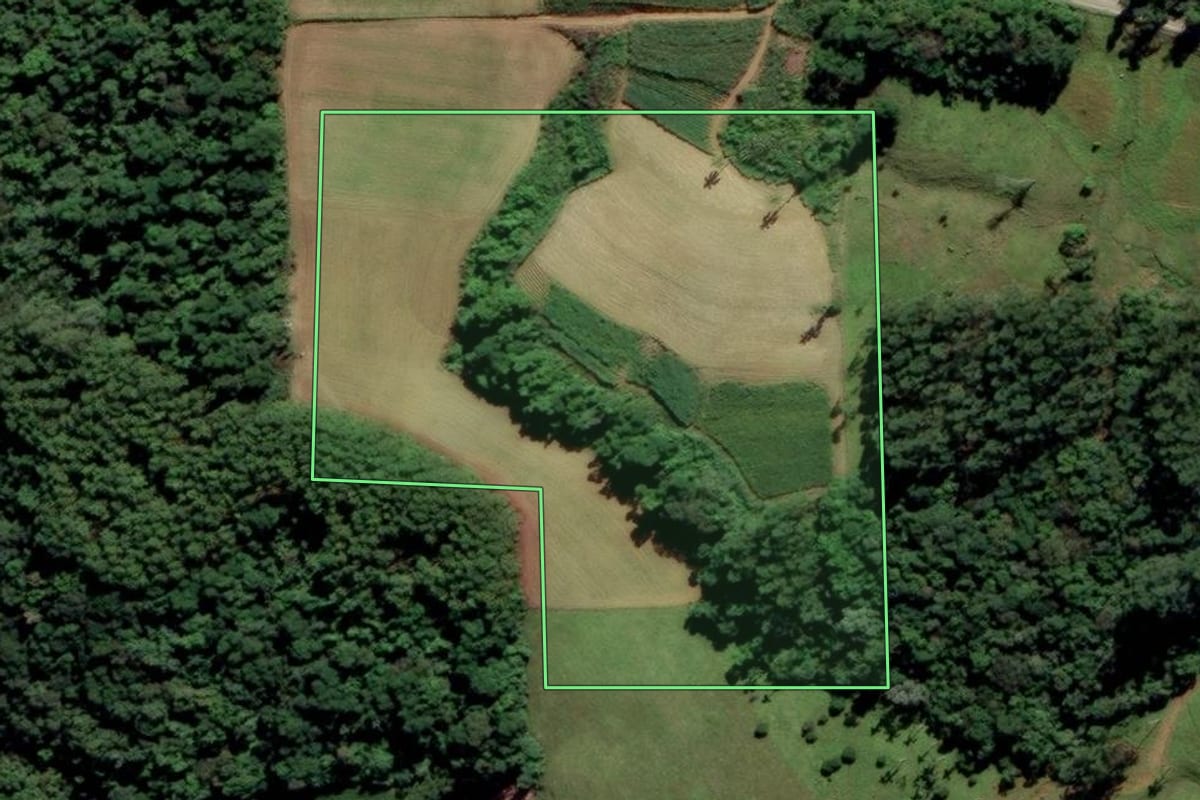 Imagem de satélite do imóvel rural em Orleans (SC), com o contorno declarado no CAR desenhado por cima.