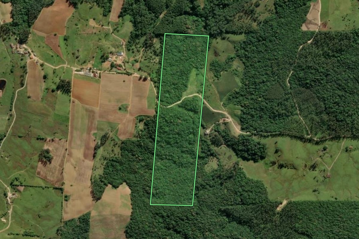 Imagem de satélite do imóvel rural em Orleans (SC), com o contorno declarado no CAR desenhado por cima.