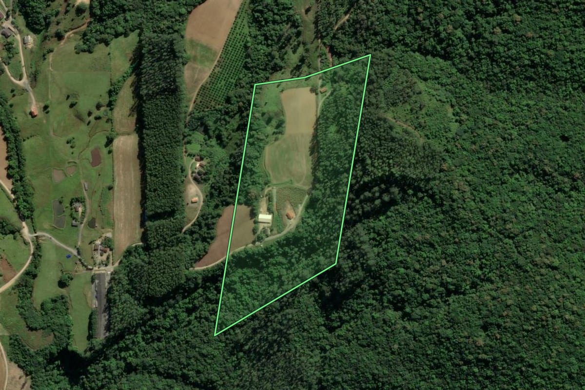 Imagem de satélite do imóvel rural em Orleans (SC), com o contorno declarado no CAR desenhado por cima.