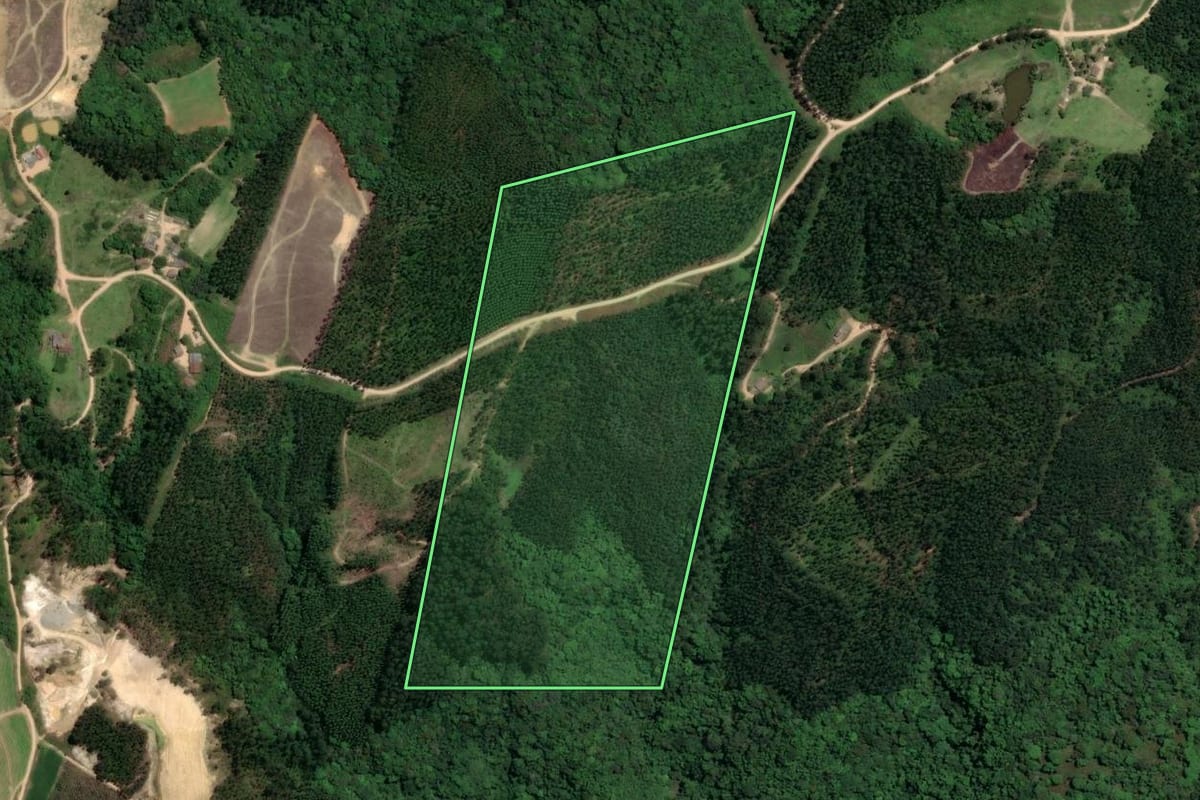 Imagem de satélite do imóvel rural em Orleans (SC), com o contorno declarado no CAR desenhado por cima.