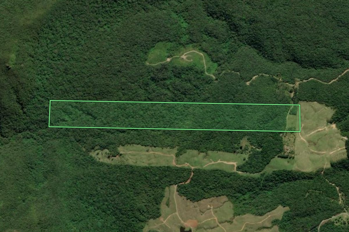 Imagem de satélite do imóvel rural em Orleans (SC), com o contorno declarado no CAR desenhado por cima.