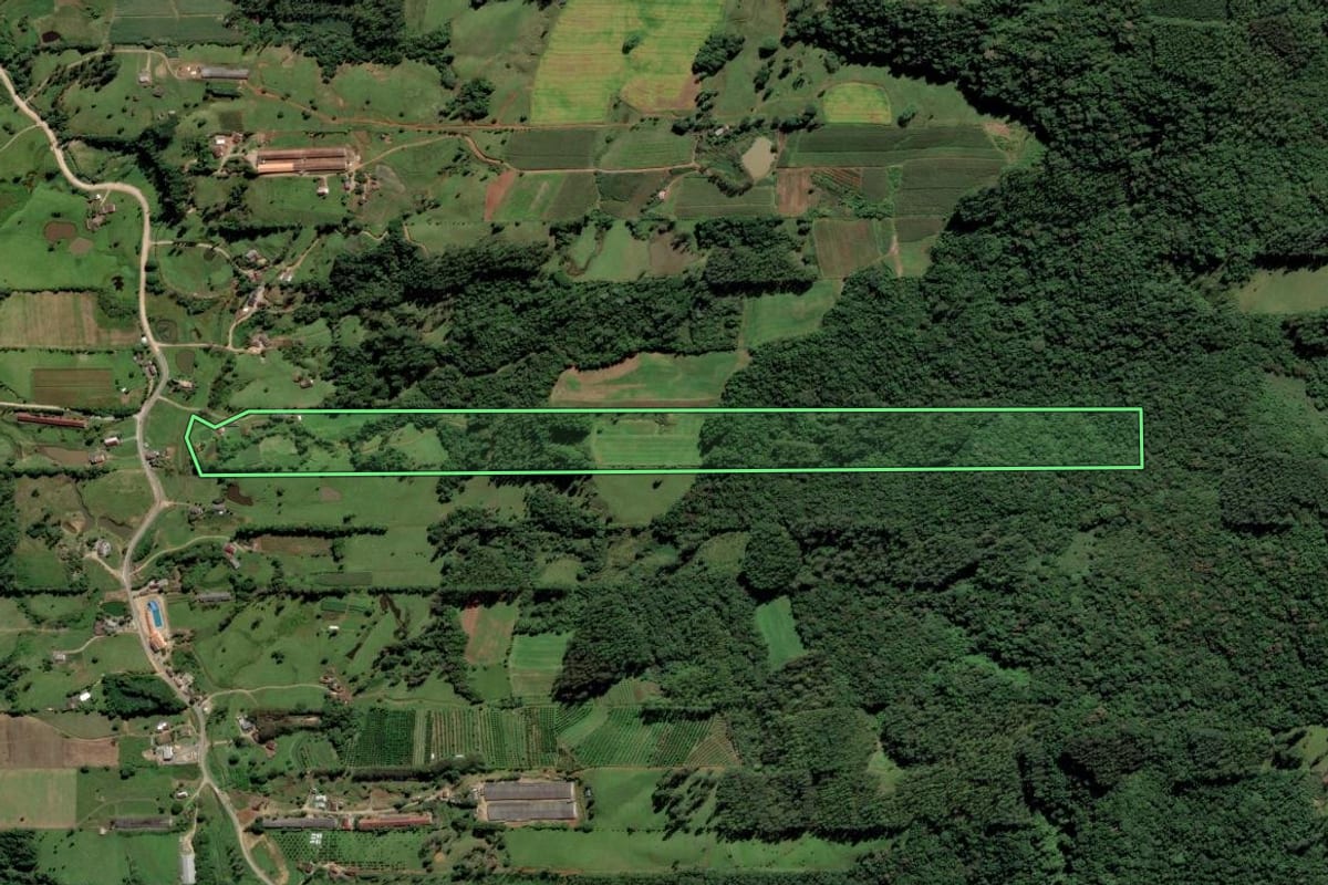 Imagem de satélite do imóvel rural em Orleans (SC), com o contorno declarado no CAR desenhado por cima.